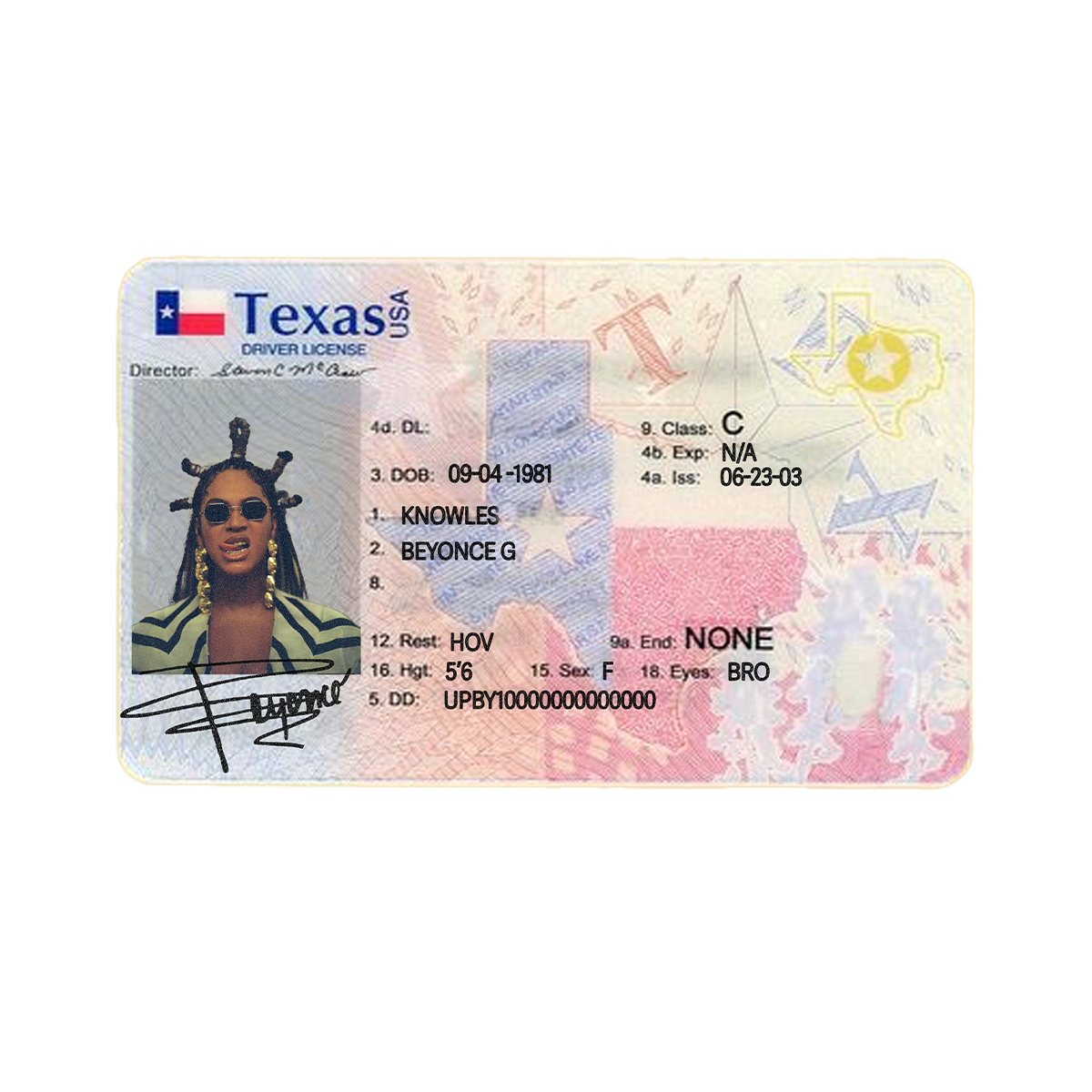 Texas Girls Get Money Hoodie